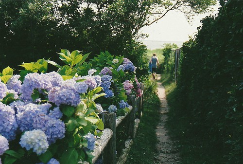 桥孔里插扁担歇后语29句