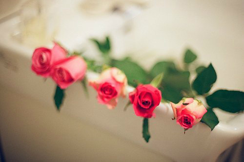 著名的谚语85句