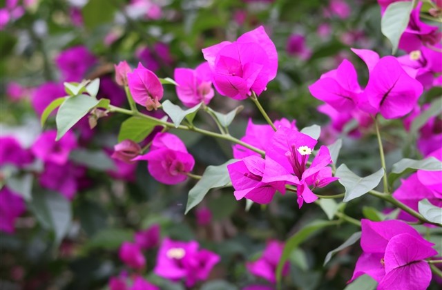 霸气独一无二的微信名 霸气独一无二的微信名