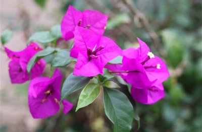 ​好听带伤感的网名(共392个)