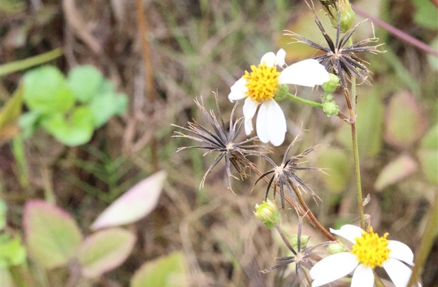 冰冷无情的伤感昵称 冰冷无情的伤感昵称