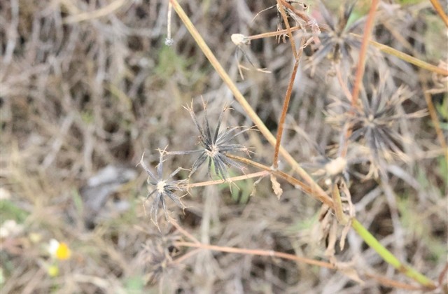 中老年人好听的微信名字 中老年人好听的微信名字