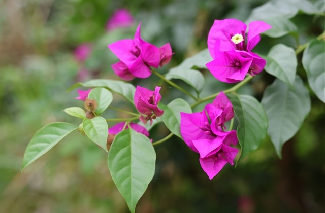 好兄弟网名2023最新版(共57个)