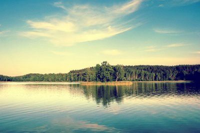 ​年会的排比句20句