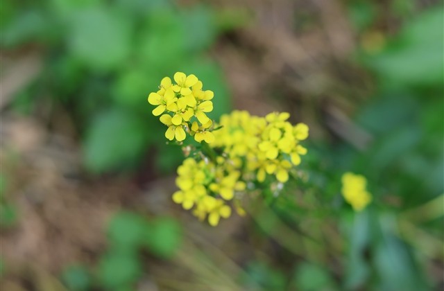 幽默搞笑吸引人的网名男生 幽默搞笑吸引人的网名男生