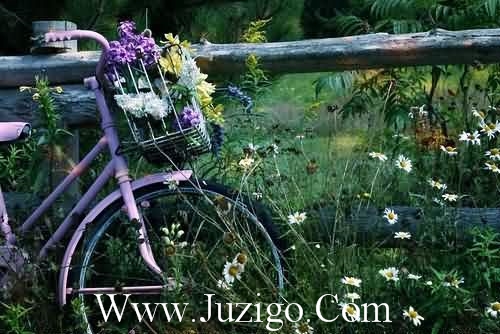 缘起缘灭,来去之间,有些人成为了回忆,不会再见