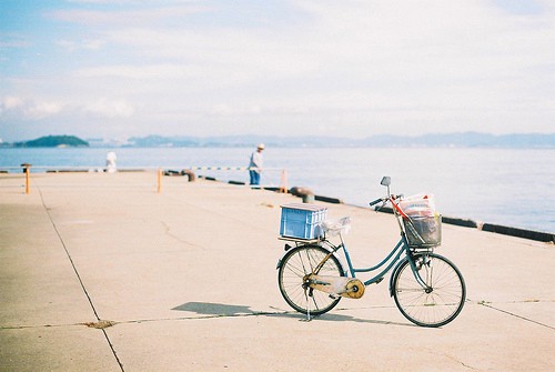 最常见的谚语十条10句