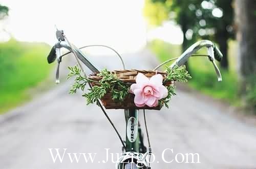 秋天拟人句短63句