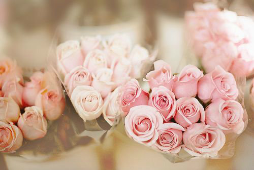 夕阳写拟人句26句