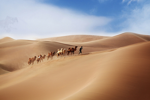 戏台上送诏书的歇后语32句