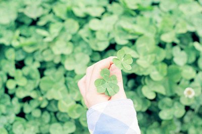 ​不认自家人歇后语31句