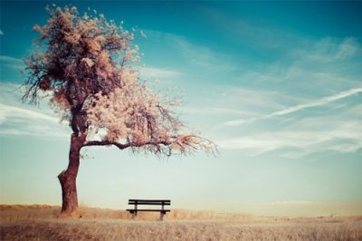 ​打击胖子的话19句