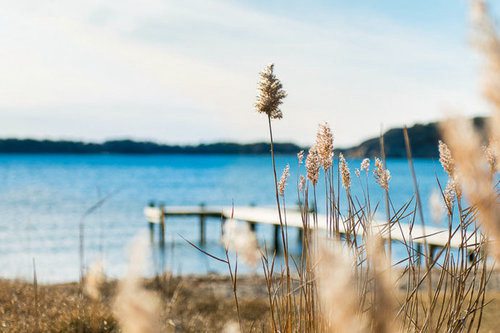 有关冬风的比喻句18句