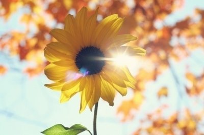 ​2024端午节经典祝福语简短句子端午祝福语简短优美(精选75句)