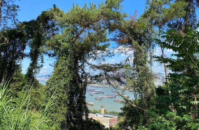 甜到爆的网名可爱四个字 甜到爆的网名可爱四个字