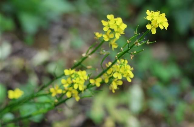 男人名字霸气十足网名