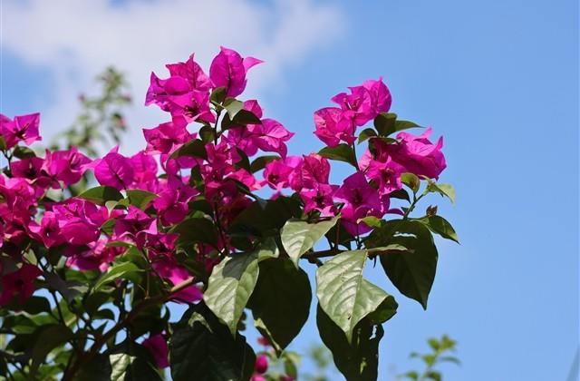 男生霸气冷酷伤感昵称(190个)