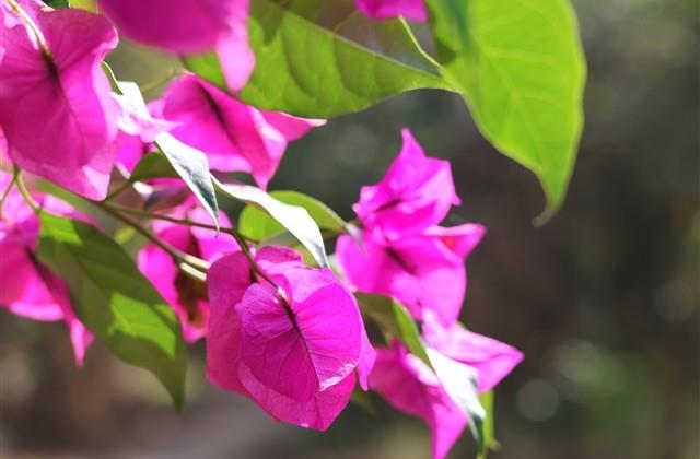 今年女宝宝取名最佳用字(特别推荐337个) 今年女宝宝取名最佳用字(特别推荐337个)