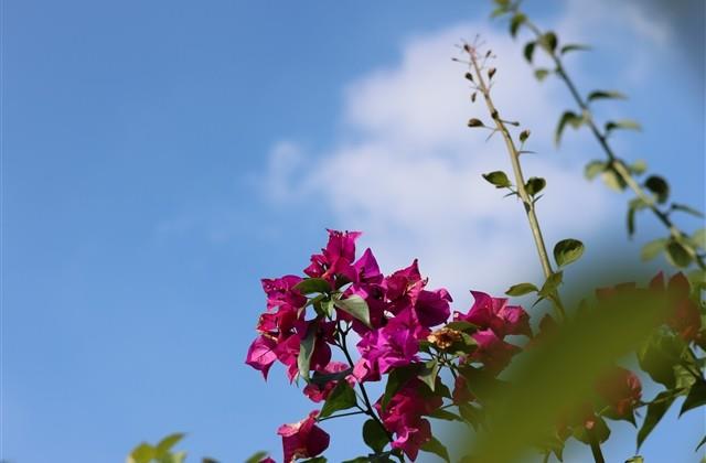 高端大气的英文微博网名(精选126个)