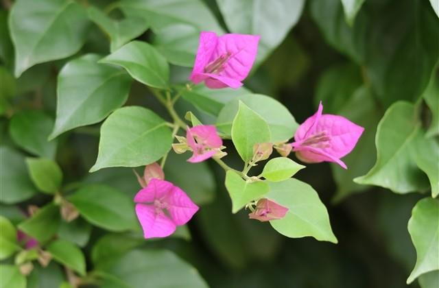 积极向上的网名女生(优选101个)