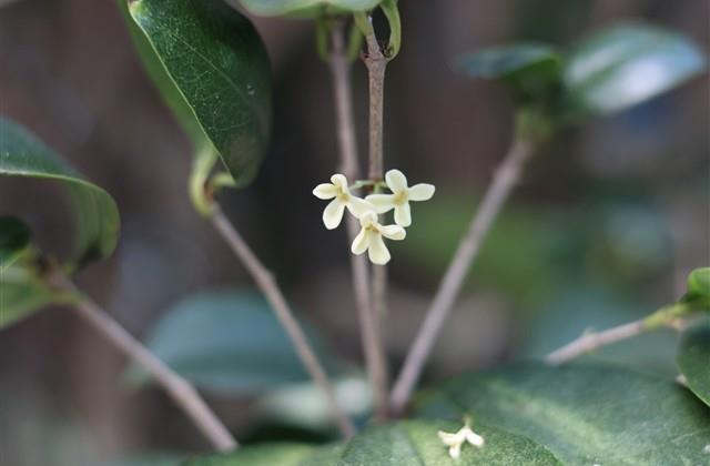 时尚唯美霸气女生网名(294个)