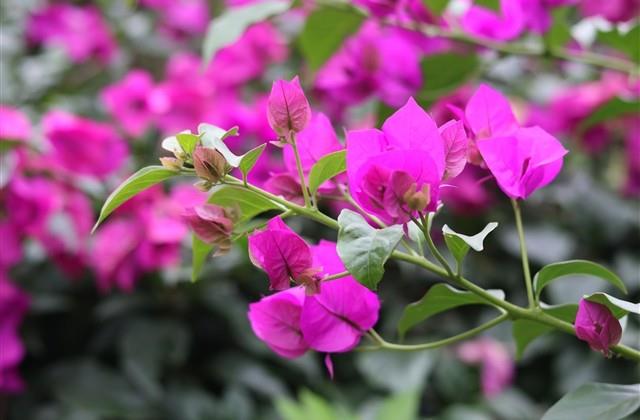 独一无二的女生微信网名内涵(249个)