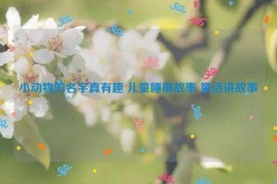 ​小动物的名字真有趣 儿童睡前故事 童话讲故事
