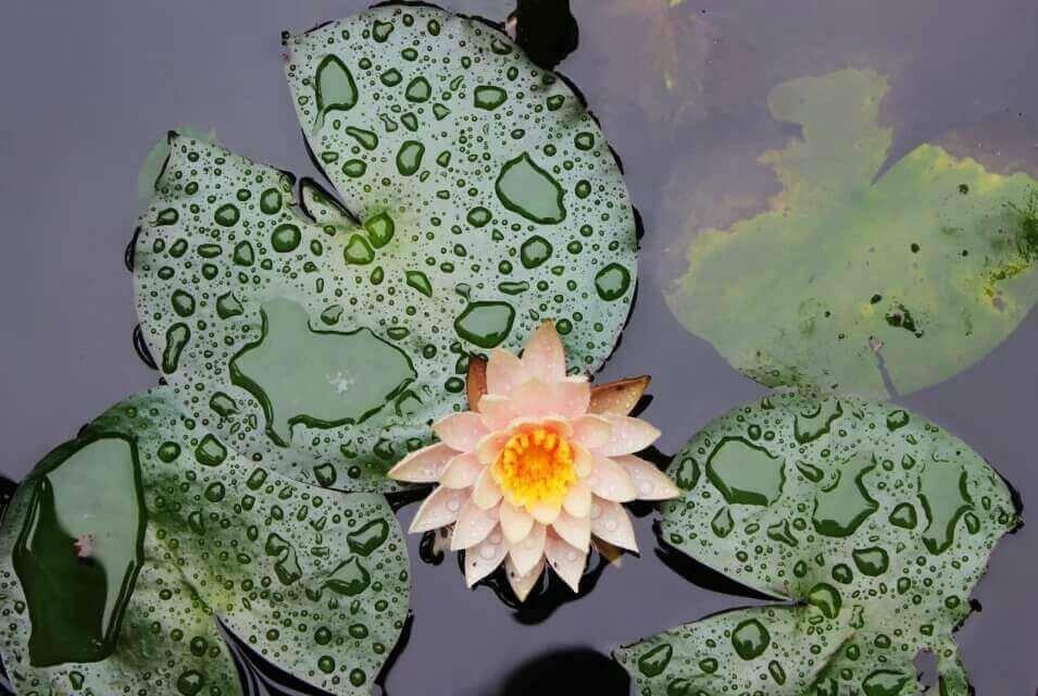 自己亲历的那些灵异事件,谁来告诉我令人信服的答案