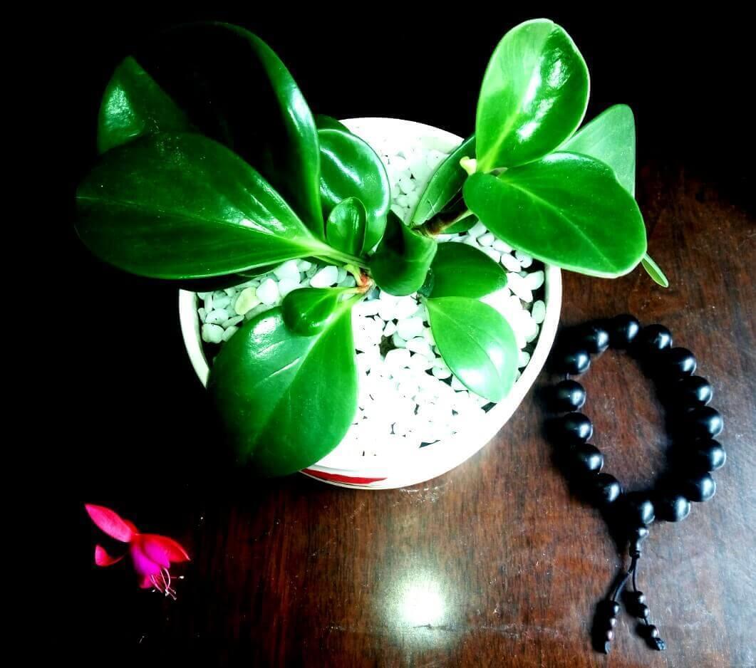 自己亲历的那些灵异事件,谁来告诉我令人信服的答案