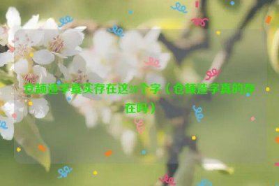 ​仓颉造字真实存在这28个字（仓颉造字真的存在吗）
