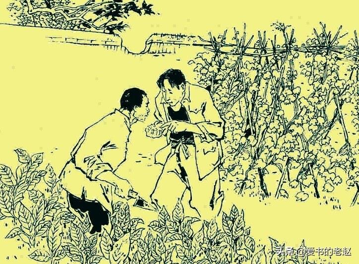 民间故事:闹鬼的西瓜地