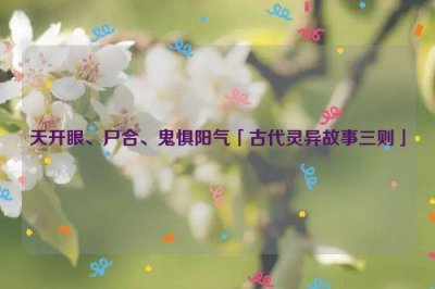 ​天开眼、尸合、鬼惧阳气「古代灵异故事三则」