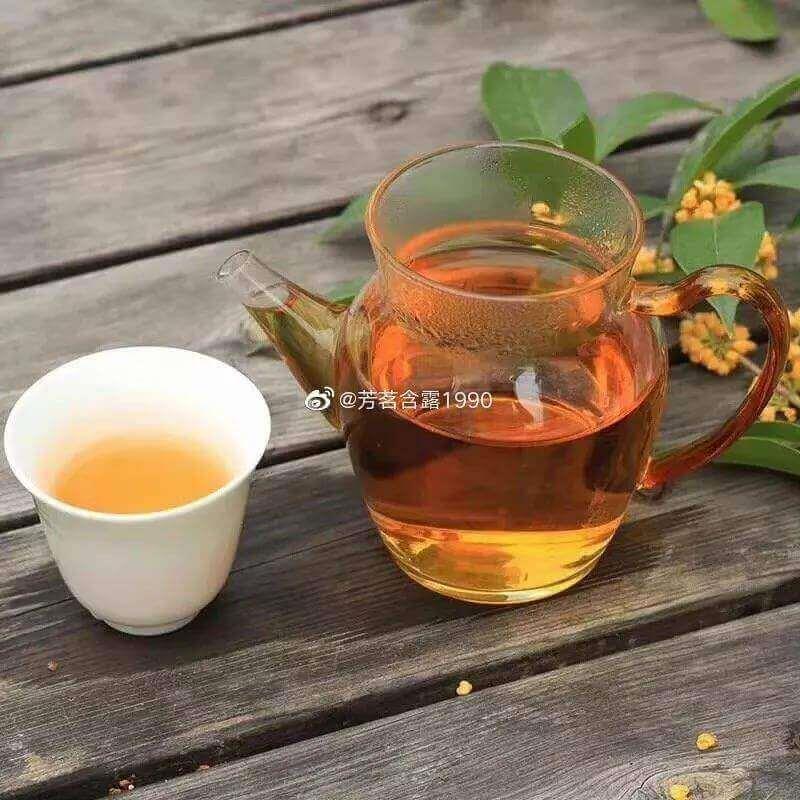 给你讲个鬼故事：未来