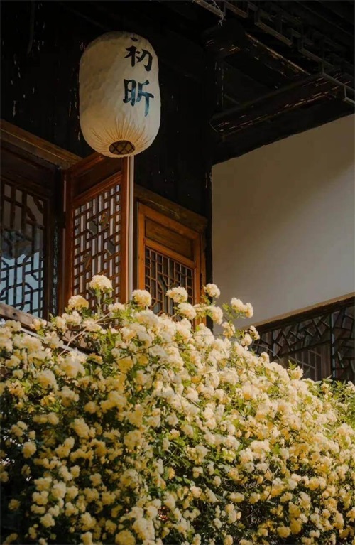 给你讲个鬼故事：未来