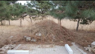 ​校园鬼故事:校园边儿上的孤坟