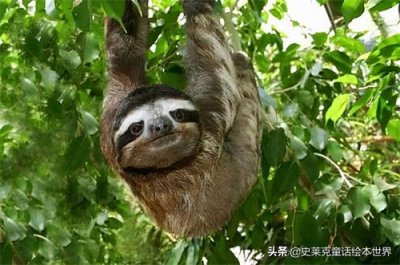 ​有声原创睡前故事《隔壁的孩子》小树宝的声音让故事完美