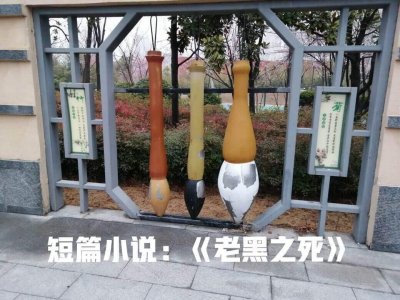 ​短篇小说:老黑之死