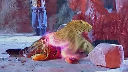 《西游记》中“南山大王”金钱豹的一生