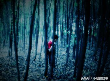 这几个短篇鬼故事希望看的你手心出汗!
