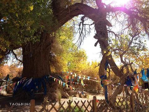 清代地方县志上记录的“灵异”故事三则