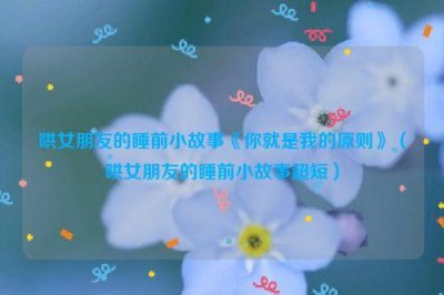 ​哄女朋友的睡前小故事《你就是我的原则》（哄女朋友的睡前小故事超短）