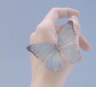 ​打完新冠疫苗发朋友圈的句子 新冠疫苗已打的文案