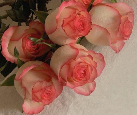 2025年哲理的句子锦集89条