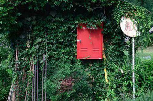 高考优美句子摘抄(精选155句)