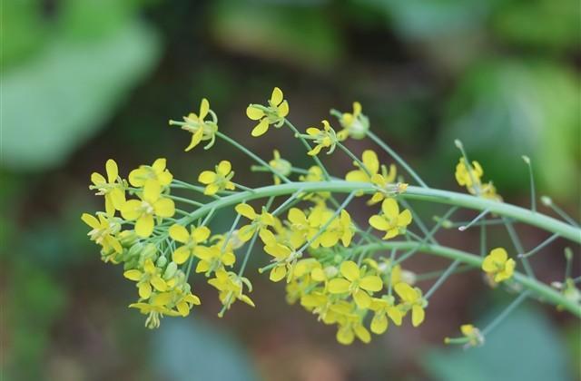 好听不重复的淘宝昵称(优选367个)