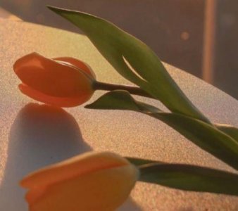 ​关于早春的句子81句