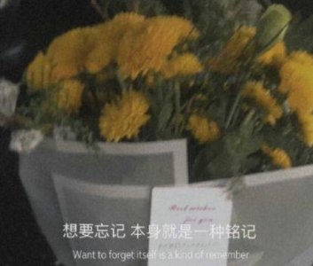 ​qq飞车名字111句