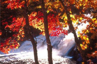 ​经典悲伤的句子95条