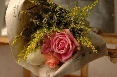 ​遇见作文开头唯美句子(259句)