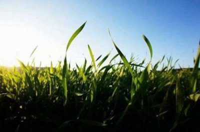 ​大学生创业的人生哲理句子有哪些